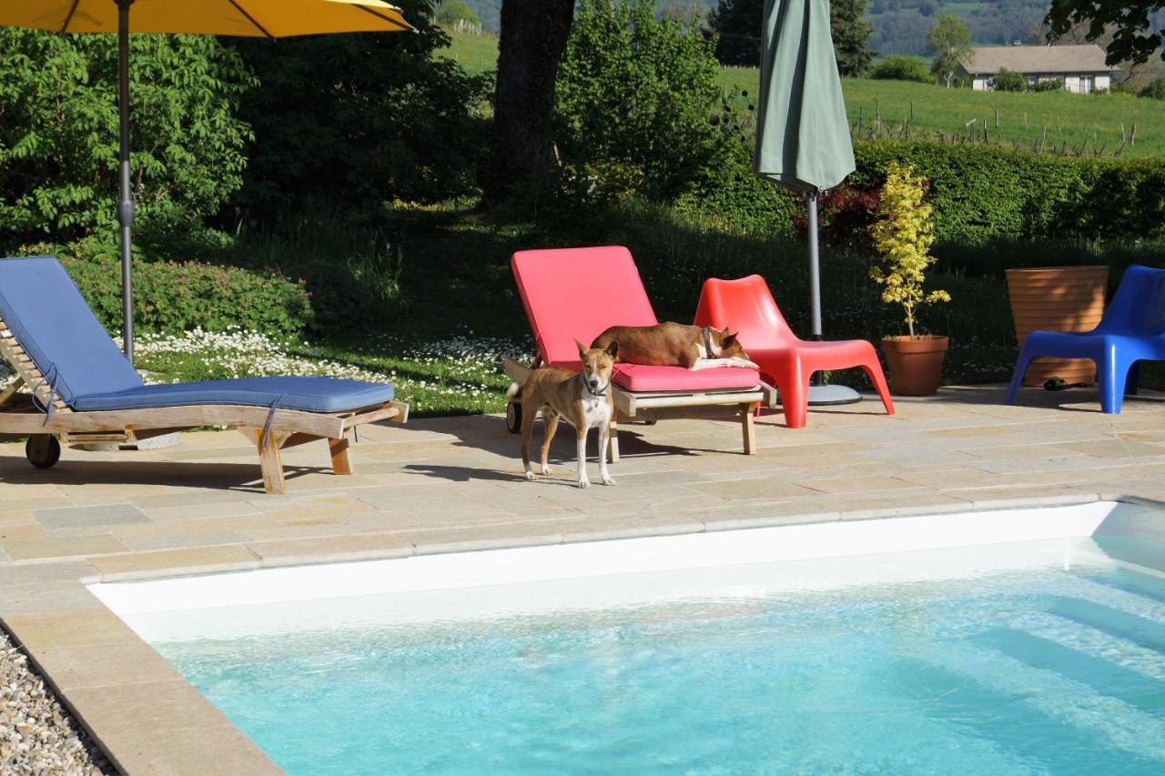 Bed and Breakfast Domaine De Saint Loth' Exteriér fotografie